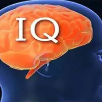 مهارت زندگی/ ۱۳ پیشنهاد برای افزایش IQ در سنین بالا