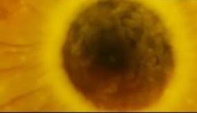 جملاتی ماندگار از پروفسور هاوکینگ