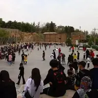 فرماندار شیراز: هیچ نوجوانی در رابطه با هنجارشکنی بلوار چمران بازداشت نشده است