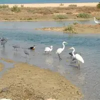 رفع‌تصرف اراضی ملی پارک ملی دریایی نایبند در عسلویه