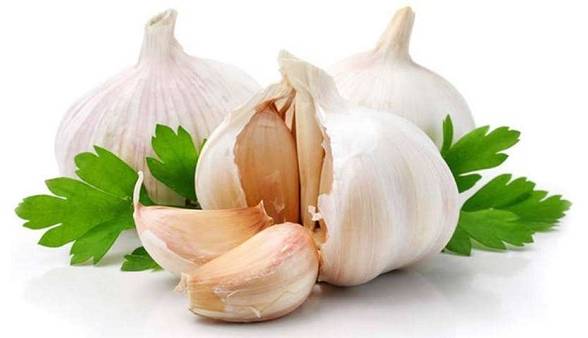 گروهی از گیاهان دارویی که هرگز نباید با دارو مصرف کنید!