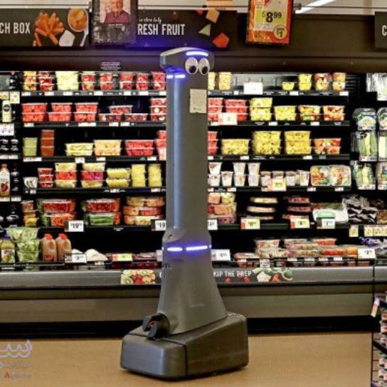 چرا برخی روبات ها دوست داشتنی و برخی منفورند؟