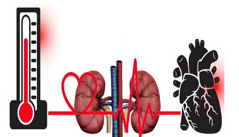 چطور عوارض فشار خون روی کلیه را کم کنیم؟