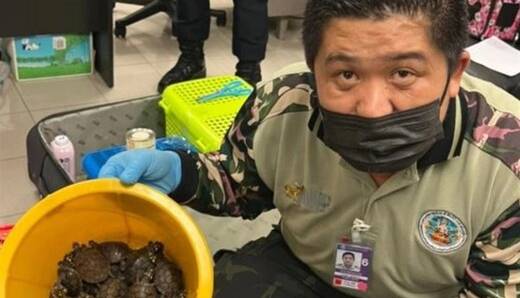 کشف ۱۰۹ گونه جانوری قاچاق از چمدان دو زن