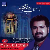 آهنگ محلی/ «برگردی به شیراز» با صدای داوود مهذبیه