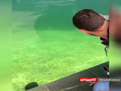 وقتی به رفیقم میگم جوری نگاه کن که تابلو نشه