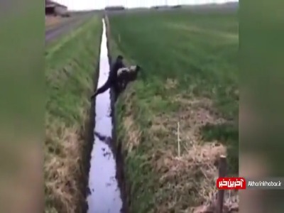 قدر فرصتی که بهش داد رو ندونست