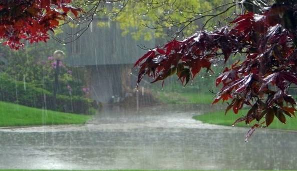 بارش باران و کاهش دما در گیلان از فردا