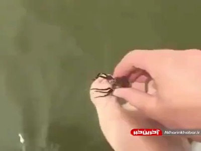 ماهیگیری با پا