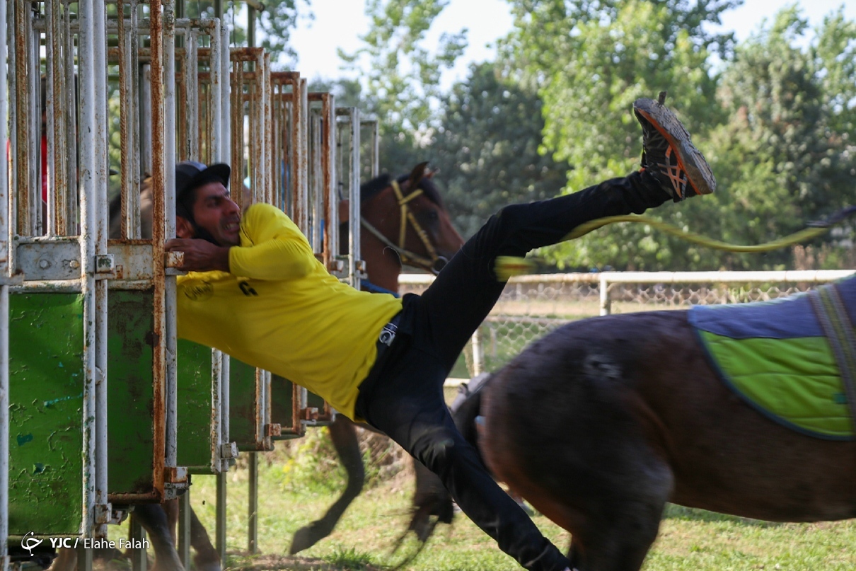 لحظه افتادن اسب سوار در مسابقات کورس اسبدوانی گیلان
