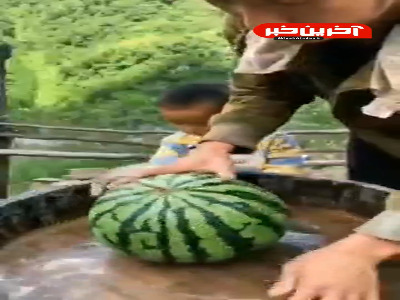 توی این هوای گرم واقعا میچسبه!