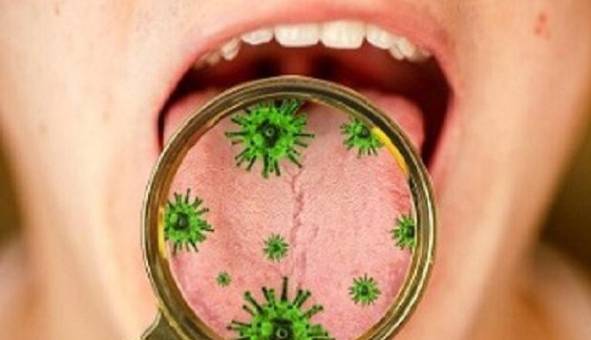 ویروس ها چگونه از طریق بزاق منتقل می شوند؟