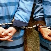 دستگیری ۱۸ سارق با ۲۰ فقره سرقت در زنجان