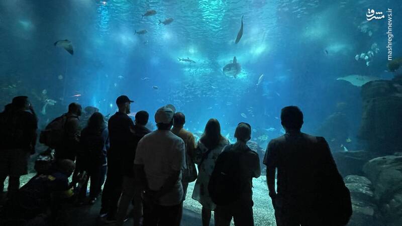 بزرگ‌ترین آکواریوم آب شور دنیا