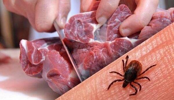 تب کنگو و راه های پیشگیری از آن