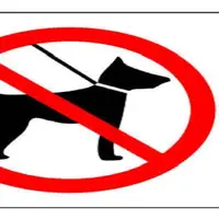 دادستان اراک: با سگ گردانی و مزاحمت برخورد می‌شود