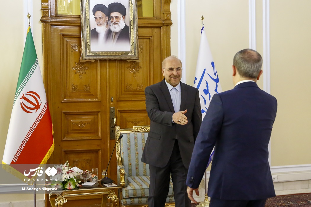 عکس/ دیدار وزیر خارجه جمهوری آذربایجان با رئیس مجلس