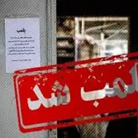 انتشار کلیپ کار دست کافه‌دار پایتخت داد