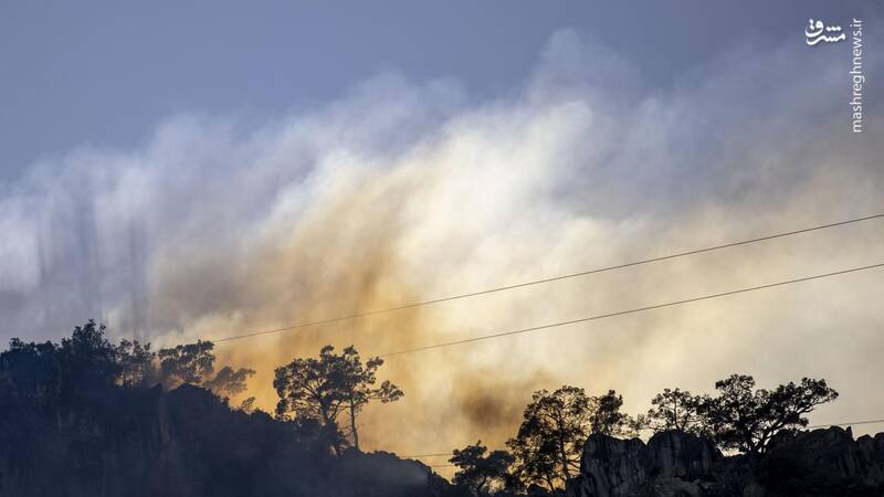 عکس/ آتش سوزی در جنگل های شهر گردشگری آنتالیا