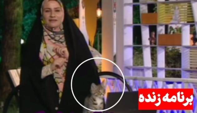 ترس مجری تلویزیون از حضور گربه وسط برنامه زنده!