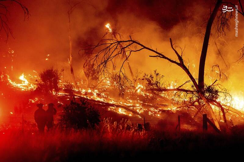 عکس/ آتش در دل جنگل‌های کالیفرنیا