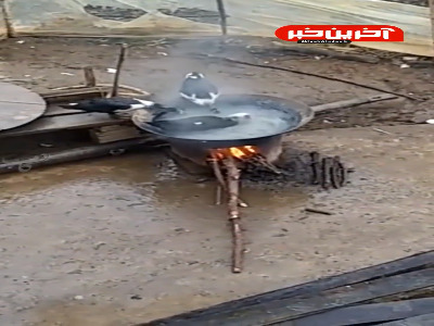 راز بقا این قسمت؛ اردک نسوز