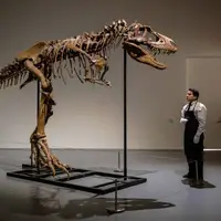 حراج فسیل دایناسور ۷۶ میلیون ساله