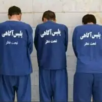 دستگیری 5 سارق سابقه‌دار در انار