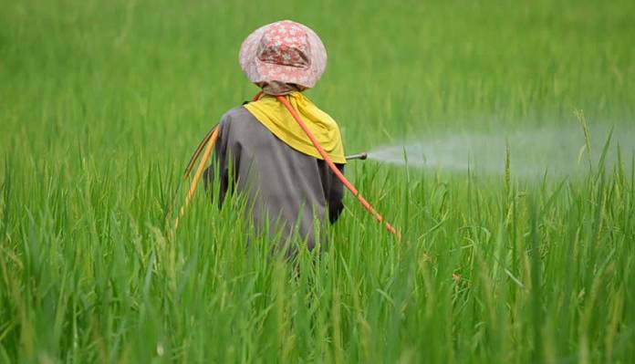 سموم بی کیفیت چینی ها بلای جان ایرانی ها
