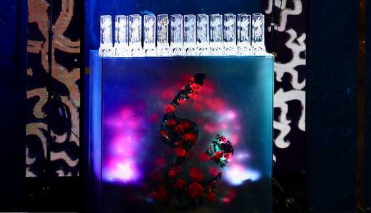 همه تغییرات فراخوان جشنواره فیلم فجر؛ اخذ تعهدنامه از صاحبان آثار!