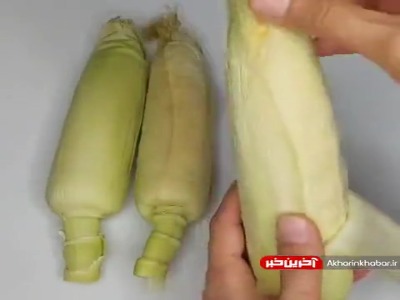 روش متفاوت برای طبخ بلال