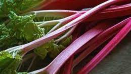 خوراکی های سمی را بشناسید  