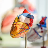 دستاورد بزرگ محققان: مدل‌سازی رگ مینیاتوری قلب که واقعا می‌تپد