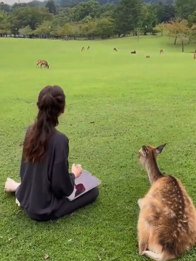 طبیعت بکر همراه با مخلوق زیبای خداوند