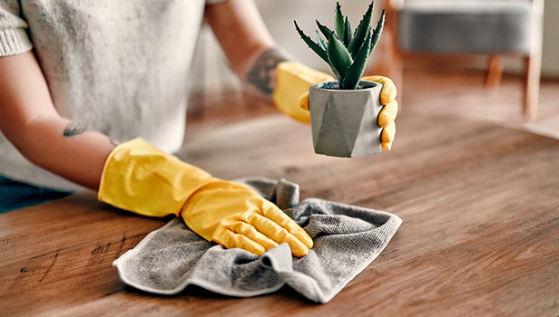 ترفندی برای این که دیرتر گردگیری کنید