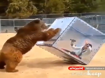 باغ وحشی در ژاپن که شما را در شرایط واقعی قرار می دهد!