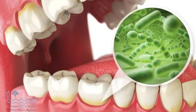 سلامت ضعیف دهان و دندان شما را به سمت زوال عقل می برد