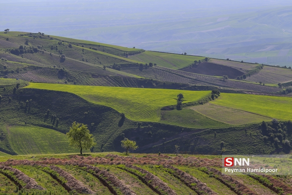 جلوه های زیبای طبیعت