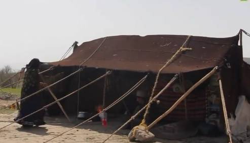 طبخ سنتی «لای پلو» غذای ویژه مهمانی عشایری