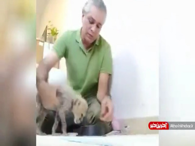 «پیروز» در 90 روزگی