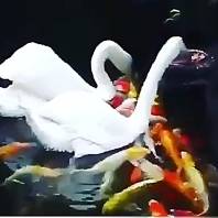 وقتی میگه من سیرم، حالا یه لقمه باهات میخورم