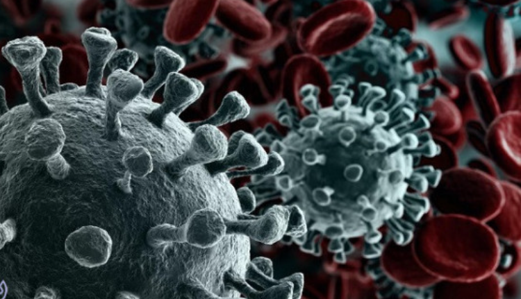 چگونگی دستکاری سلول ها توسط ویروس کرونای جدید