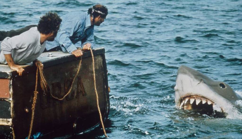 چرا مردم تا به این اندازه از کوسه ها وحشت دارند؟   