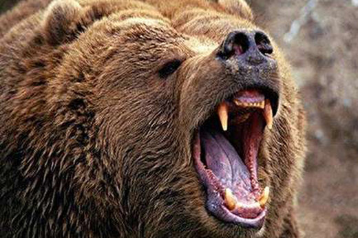 تلاشت فایده نداره