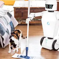 یک ربات معمولی با تقلید کردن از انسان به امور خانه‌داری می‌رسد