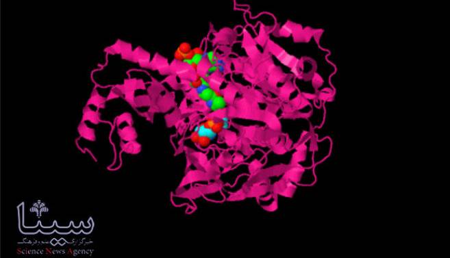 شبیه سازی گذشته زمین با علم شیمی