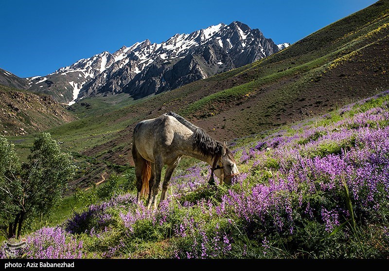 عکس/ کوه پایه اشترانکوه در روستای "کمندان" لرستان