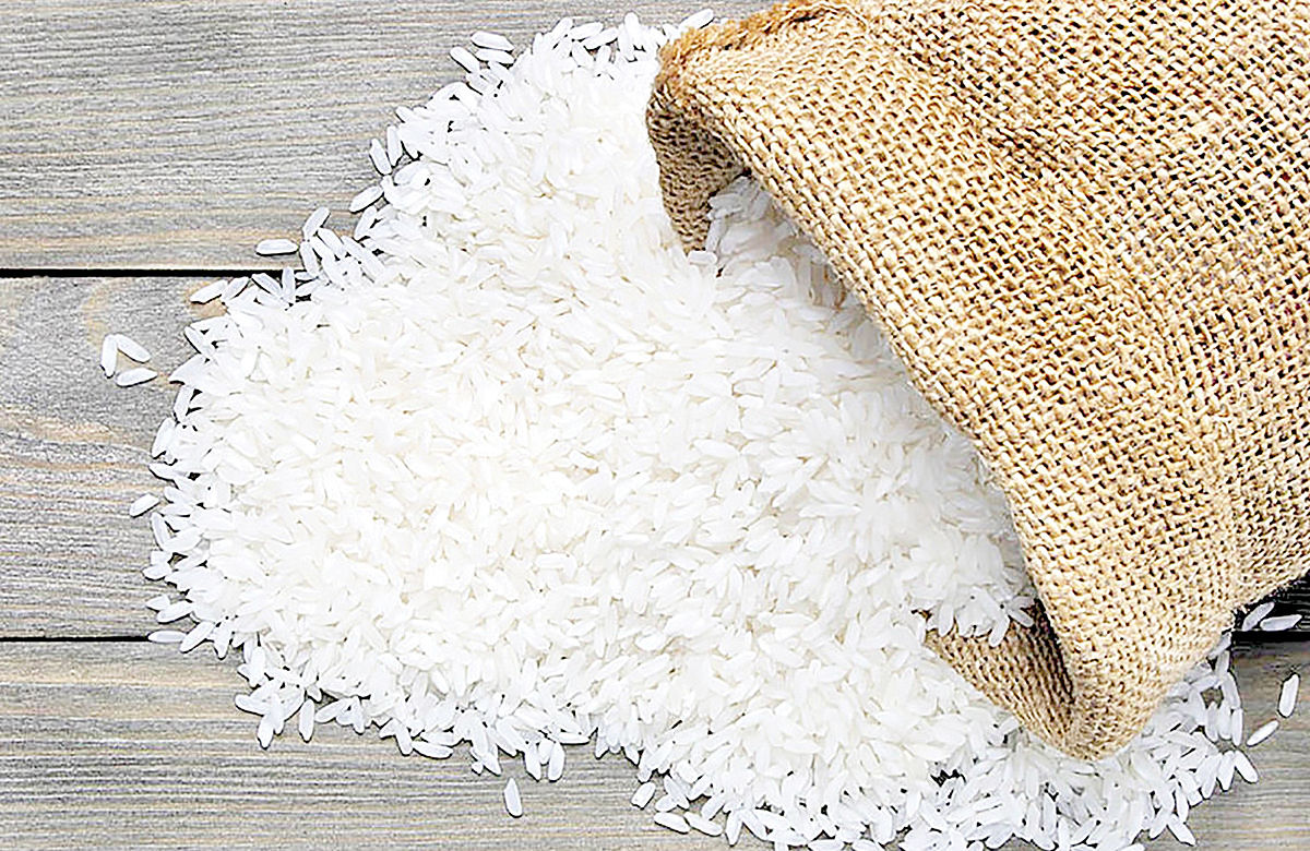 رئیس کمیسیون کشاورزی مجلس: سال آینده نیازی به واردات برنج نخواهیم داشت