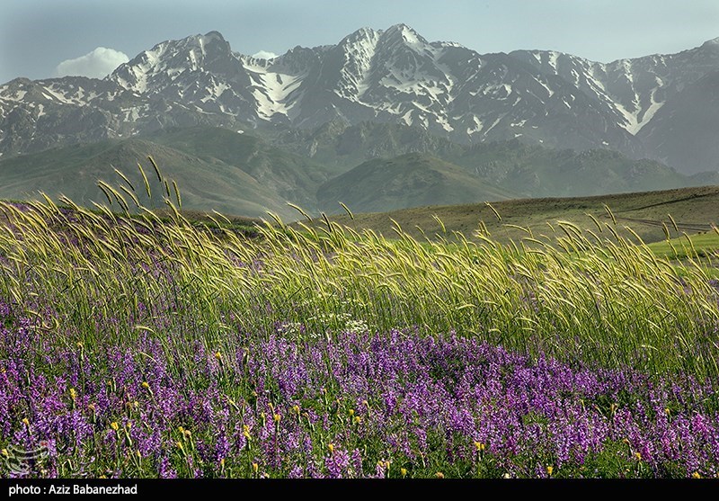 عکس/ کوه پایه اشترانکوه در روستای "کمندان" لرستان