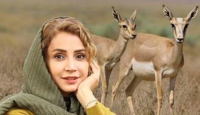 «شبنم‌ قلی‌خانی» سفیر حفاظت از آهوی ایرانی شد